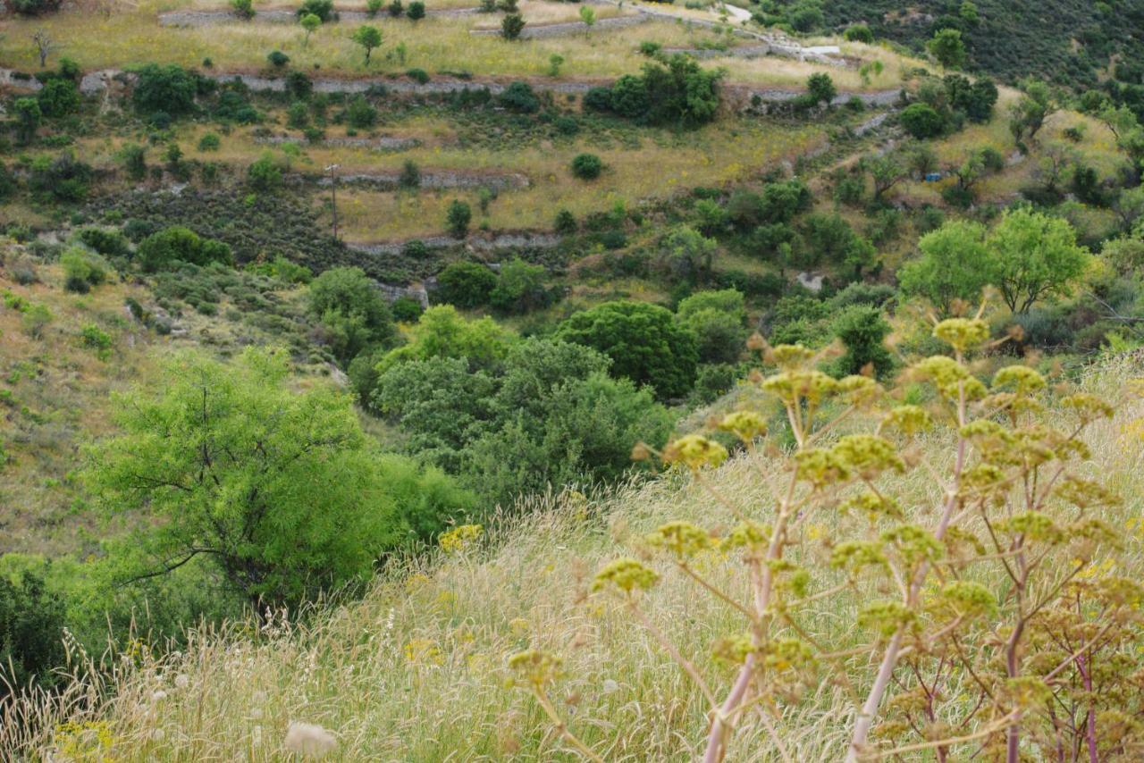 Serenity Boutique House Vouni Dış mekan fotoğraf